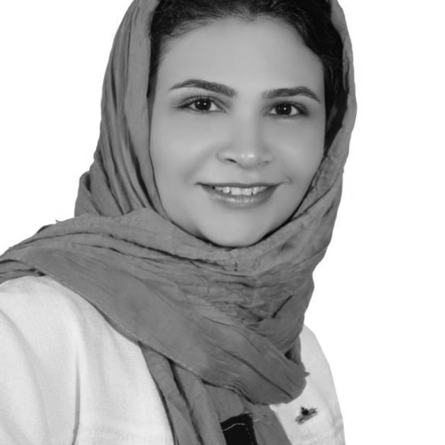 Akram Bayat, Ph.D. Computer Science '18, University of Massachusetts Boston